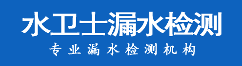 赞皇暗管漏水检测